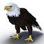 Bald Eagle Rigged