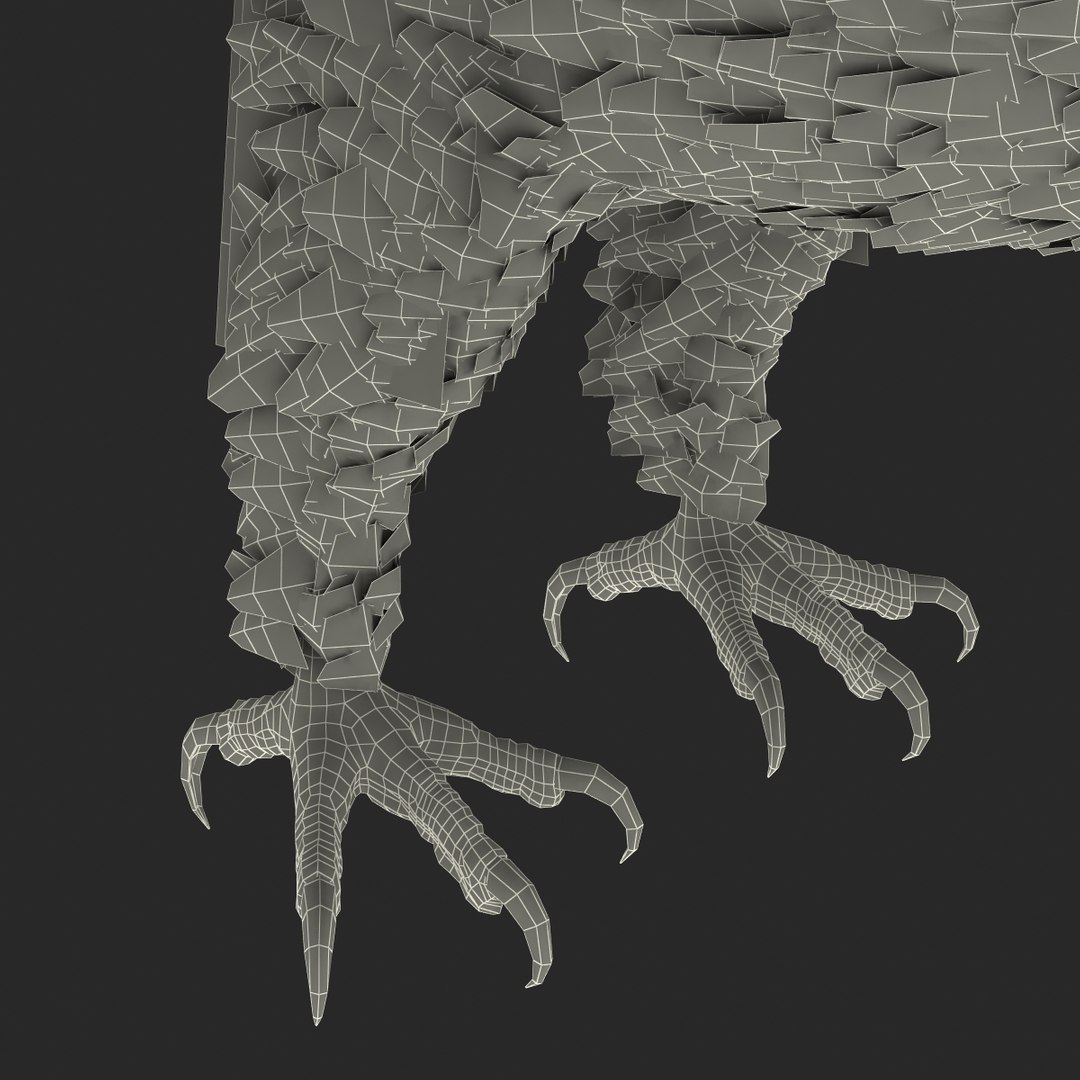 3d bald eagle rigged https://p.turbosquid.com/ts-thumb/VW/Le9t8p/mGTgRdZx/baldeaglerigged3dmodel75/jpg/1447747487/1920x1080/fit_q87/77ba6dc2a6f2f9fdf5fa11f3b1fb573f2c7466af/baldeaglerigged3dmodel75.jpg