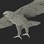 Bald Eagle Rigged