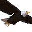 Bald Eagle Rigged