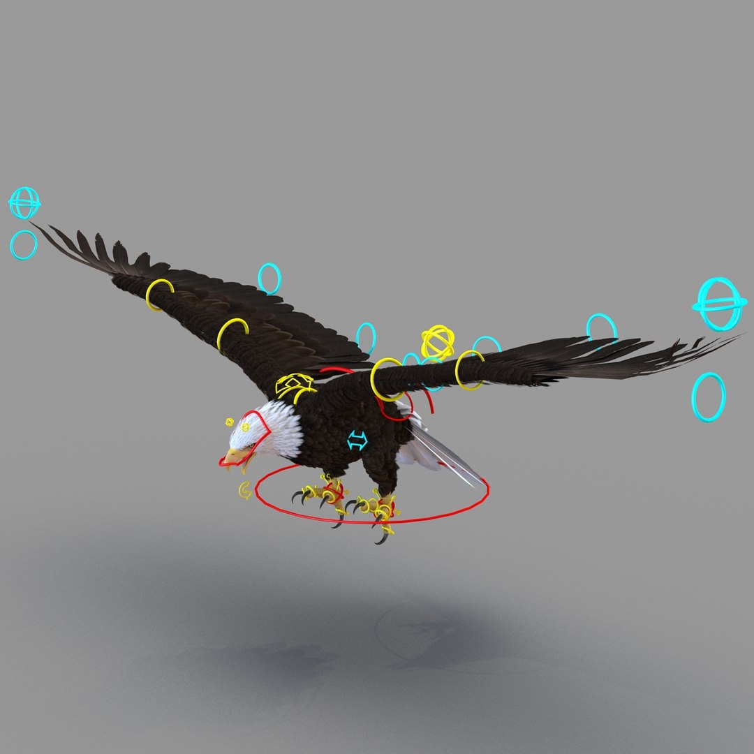 3d bald eagle rigged https://p.turbosquid.com/ts-thumb/VW/Le9t8p/scrywl8I/baldeaglerigged3dmodel59/jpg/1447747485/1920x1080/fit_q87/d0686818e9d1ded6e0dda3943076914f2074d704/baldeaglerigged3dmodel59.jpg