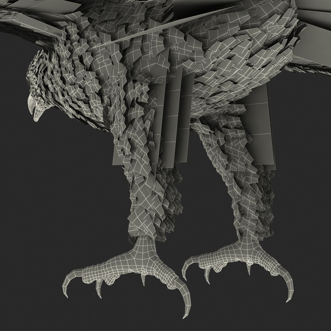 3d bald eagle rigged https://p.turbosquid.com/ts-thumb/VW/Le9t8p/uumgxXRu/baldeaglerigged3dmodel76/jpg/1447747487/1920x1080/fit_q87/7814b0c6ae6e66ee2213db1650964b21fa5db5a3/baldeaglerigged3dmodel76.jpg
