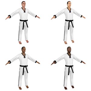 taekwondo martial artist 3D