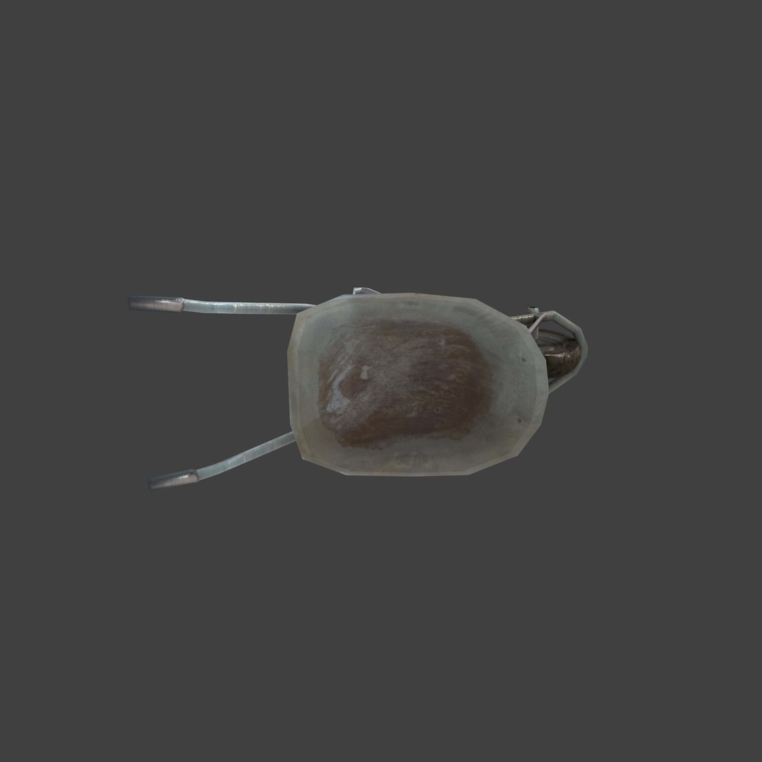 wheelbarrow 3D model https://p.turbosquid.com/ts-thumb/VW/YTLXyw/gRxdnqSM/image0052/png/1568839747/1920x1080/fit_q87/e54f016c072eaea364e1f7fb21c594db8b36e085/image0052.jpg