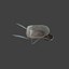 Wheelbarrow