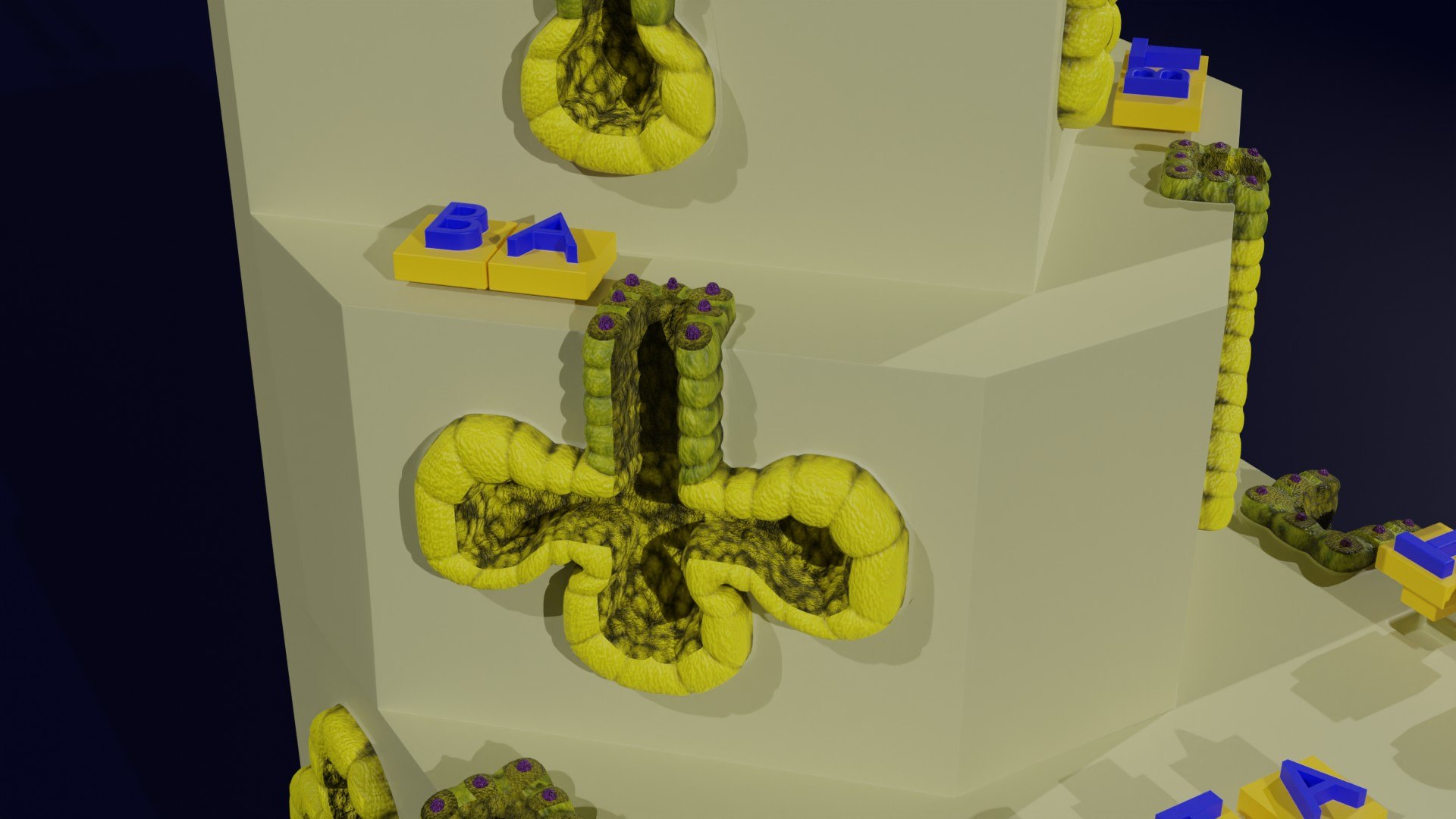 Ducts glands type simple compound alveolar tubular 3D model https://p.turbosquid.com/ts-thumb/VW/dzAsML/KR/z0027a4/jpg/1695734721/1920x1080/fit_q87/8f63fc1f71a6d4860209ba84240542bbe2286421/z0027a4.jpg