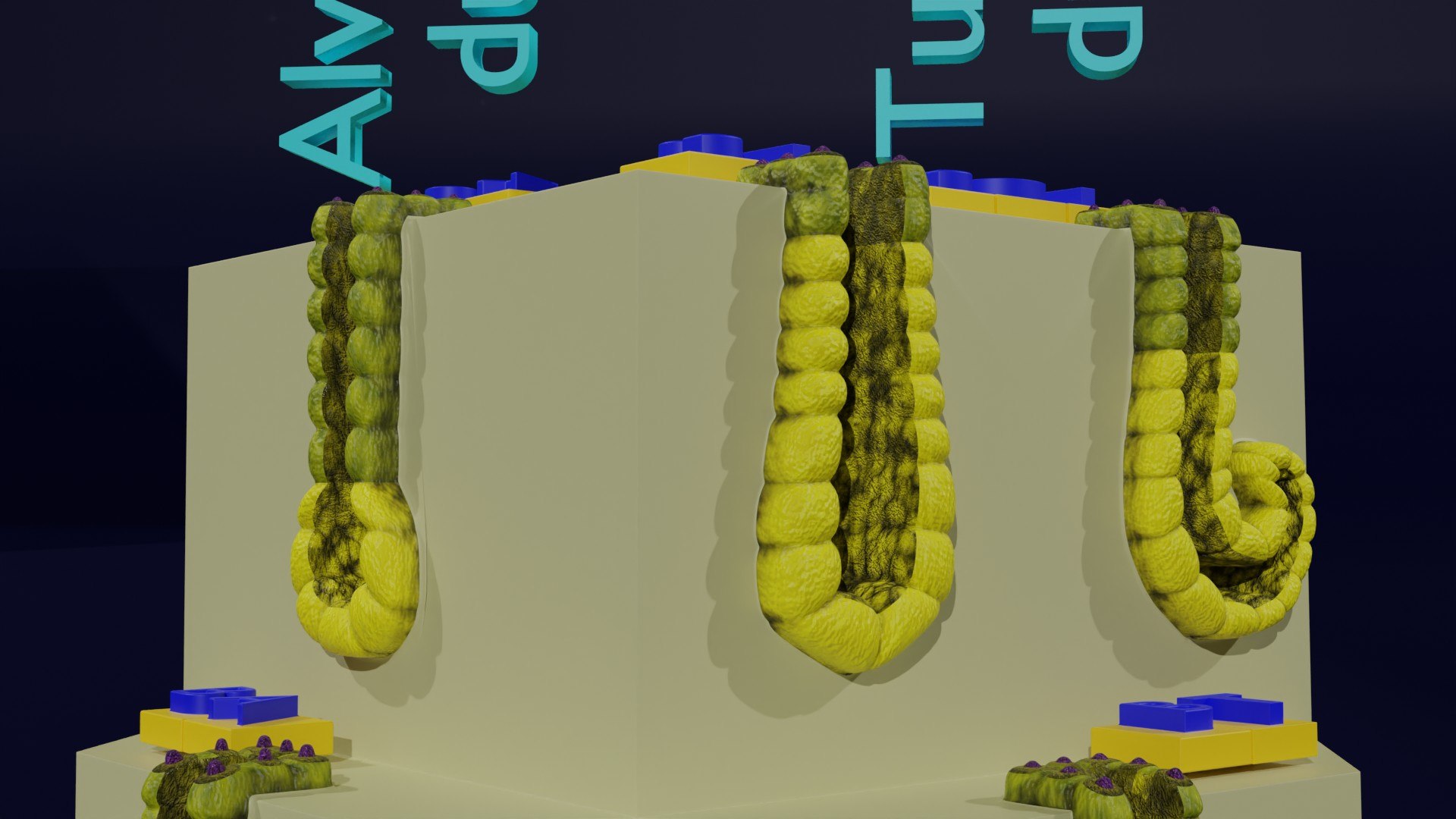 Ducts glands type simple compound alveolar tubular 3D model https://p.turbosquid.com/ts-thumb/VW/dzAsML/LV/z0023/jpg/1695734715/1920x1080/fit_q87/aa2bccebf97062bd7e6d398de40be4d21f75762a/z0023.jpg
