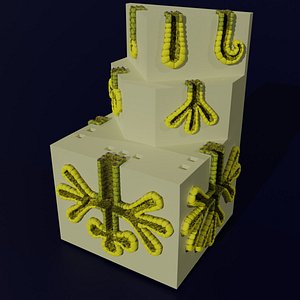 Ducts glands type simple compound alveolar tubular