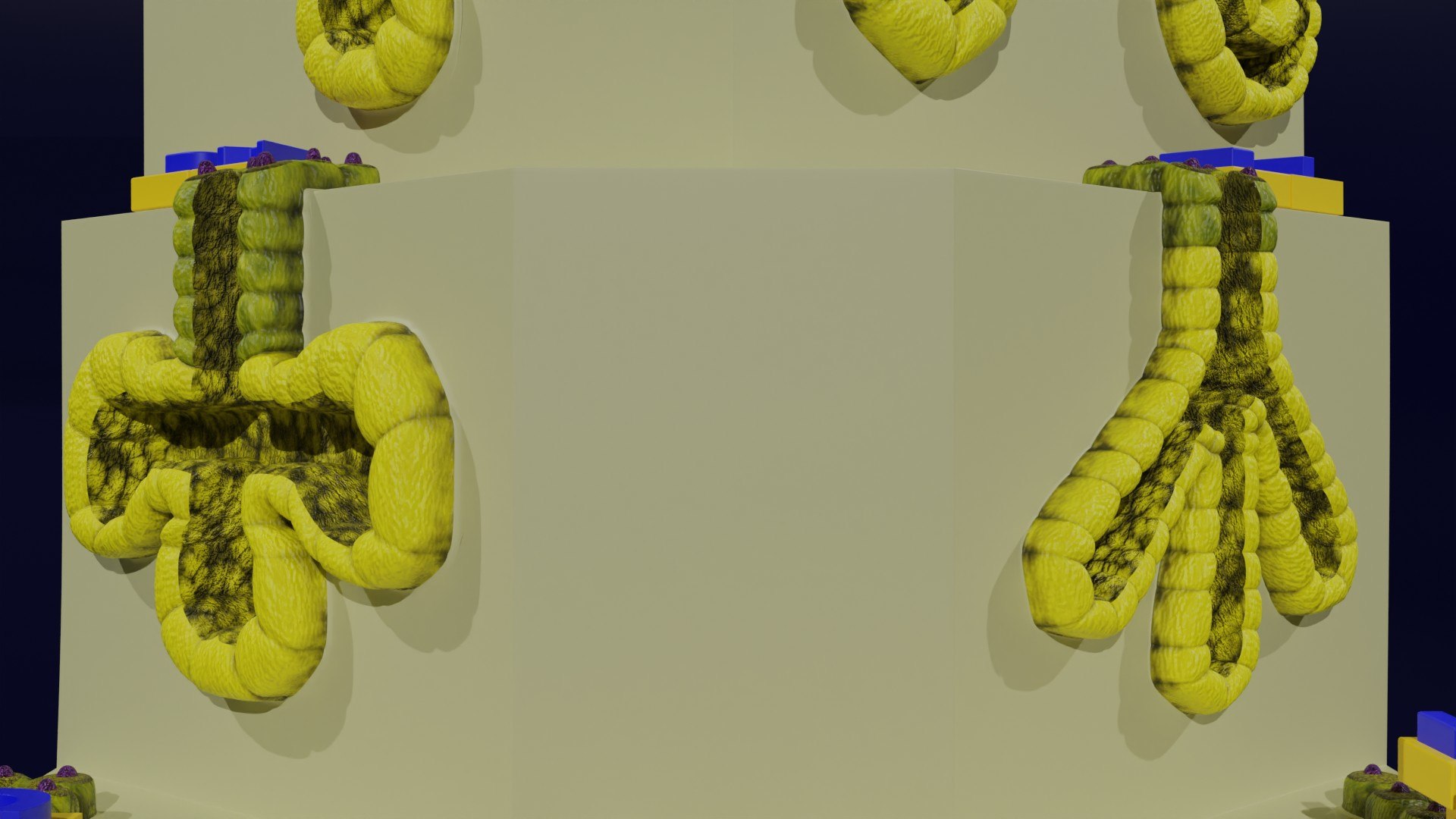 Ducts glands type simple compound alveolar tubular 3D model https://p.turbosquid.com/ts-thumb/VW/dzAsML/WB/20/jpg/1695734715/1920x1080/fit_q87/0ae3c098a53cc77873f9e2969a62dbcc23b0fa1a/20.jpg