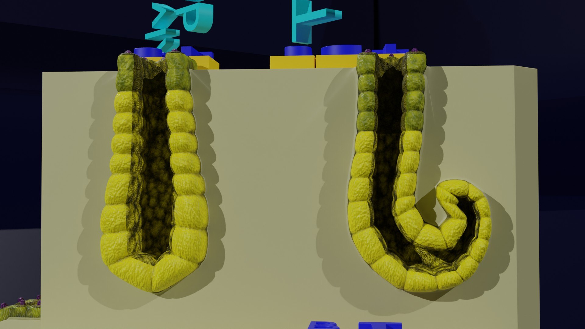 Ducts glands type simple compound alveolar tubular 3D model https://p.turbosquid.com/ts-thumb/VW/dzAsML/eJ/z0025/jpg/1695734717/1920x1080/fit_q87/b982299fa56444a33c0cb211d34c453b3b364ec5/z0025.jpg