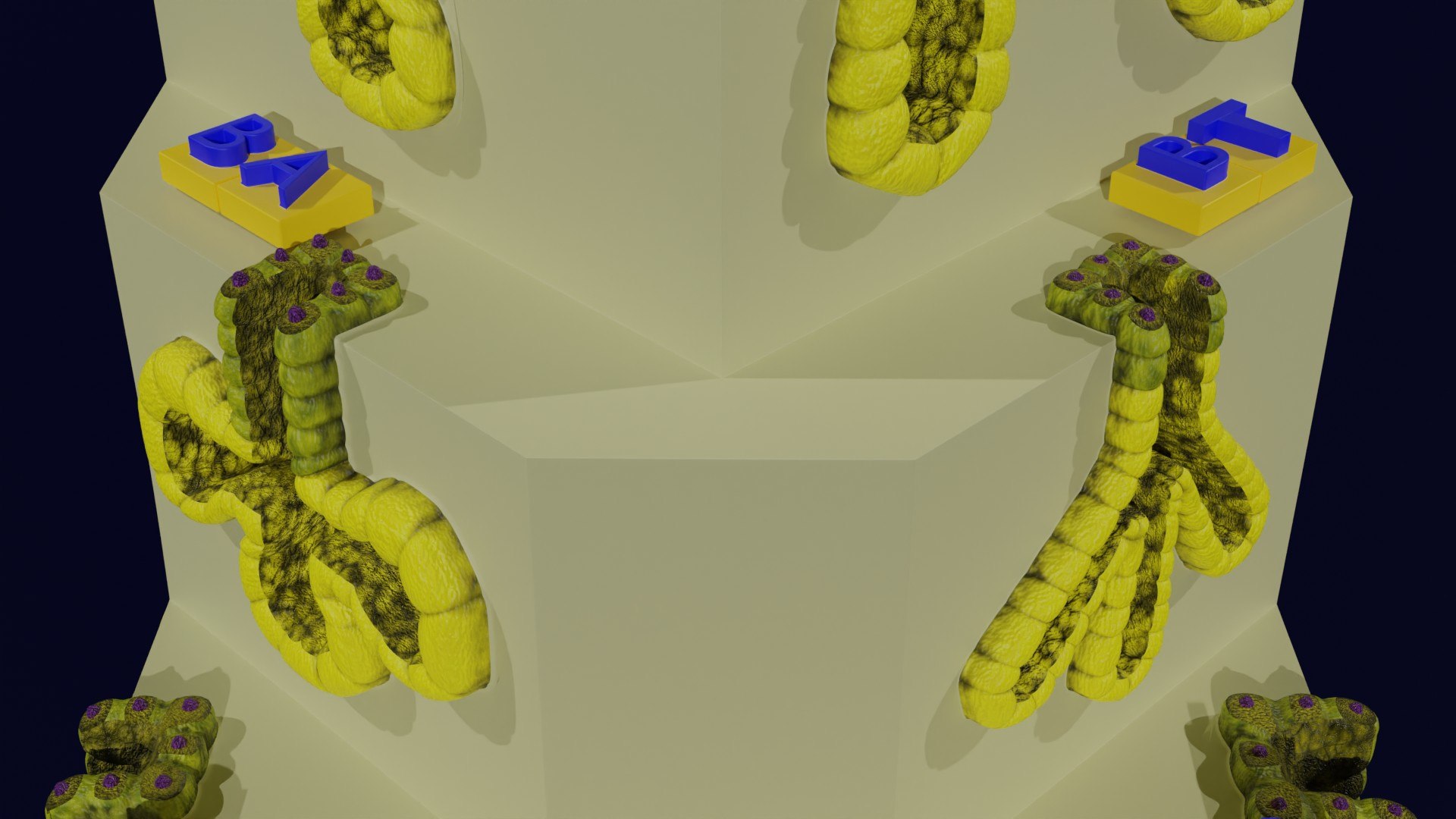 Ducts glands type simple compound alveolar tubular 3D model https://p.turbosquid.com/ts-thumb/VW/dzAsML/sA/z0027a5/jpg/1695734722/1920x1080/fit_q87/875074018d6954a9001a48f4e73c9ab9a3f37bde/z0027a5.jpg