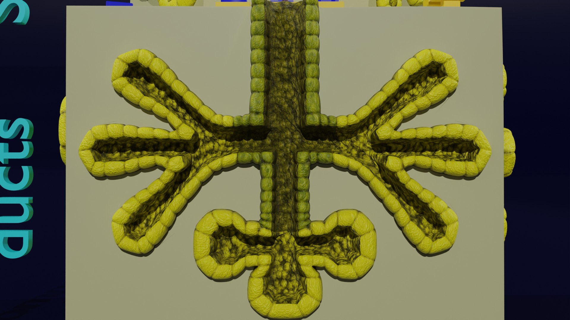 Ducts glands type simple compound alveolar tubular 3D model https://p.turbosquid.com/ts-thumb/VW/dzAsML/xB/z0014/jpg/1695734712/1920x1080/fit_q87/09b9a8c1ab0126f059ac2d39d816a0bbd618fcd3/z0014.jpg
