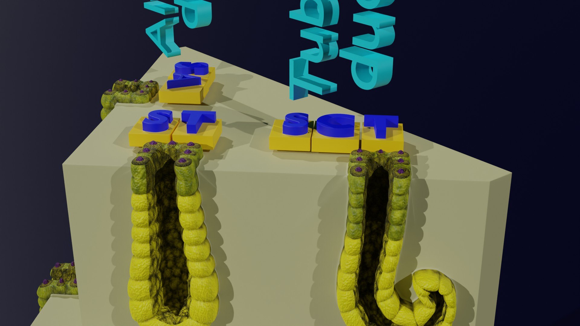Ducts glands type simple compound alveolar tubular 3D model https://p.turbosquid.com/ts-thumb/VW/dzAsML/yf/z0026/jpg/1695734718/1920x1080/fit_q87/3021fe9e72f886de8a154193dd9418377ba10d85/z0026.jpg