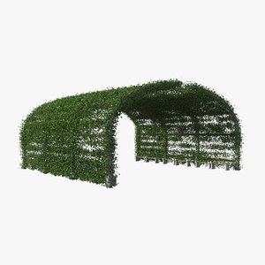 ivy pergola 3D model