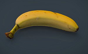 3d model real banana