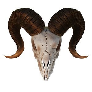 Ram Skull