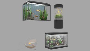 3D Fish tanks
