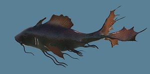 3d tropical fish model