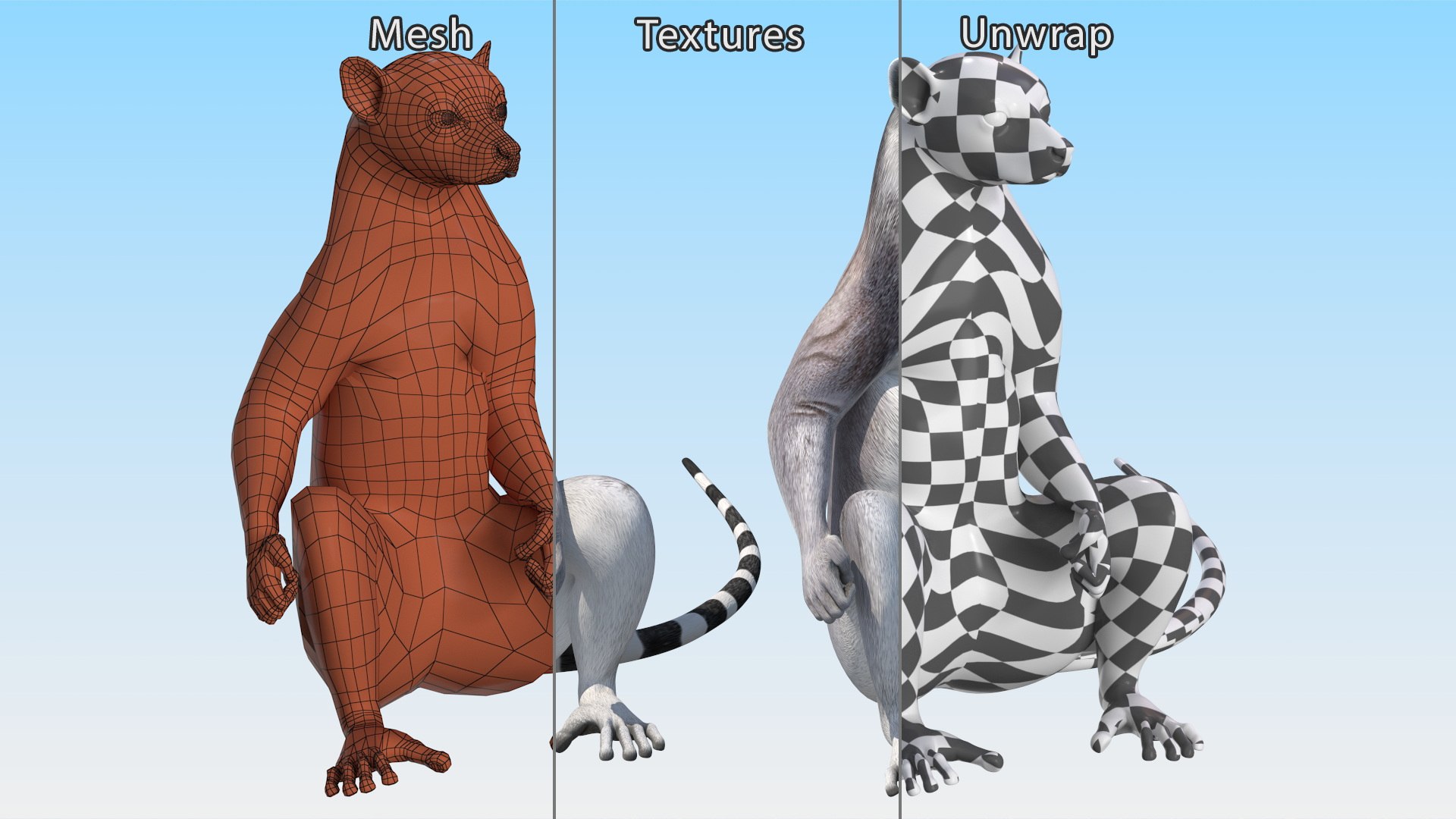 Lemur Catta Sitting Straight 3D Model - TurboSquid 2197050