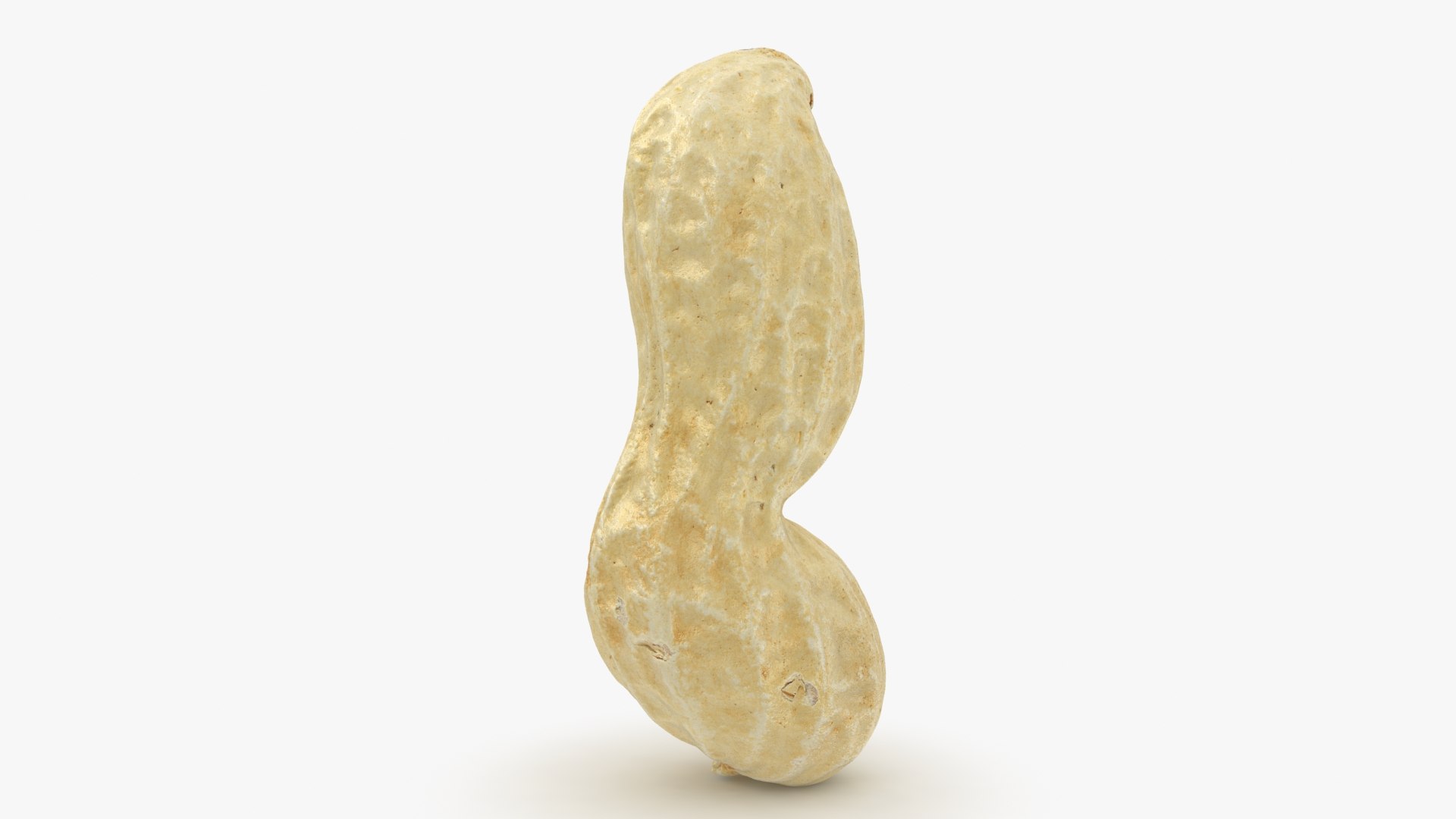 3D Peanut Shell 02 Model - TurboSquid 1957346