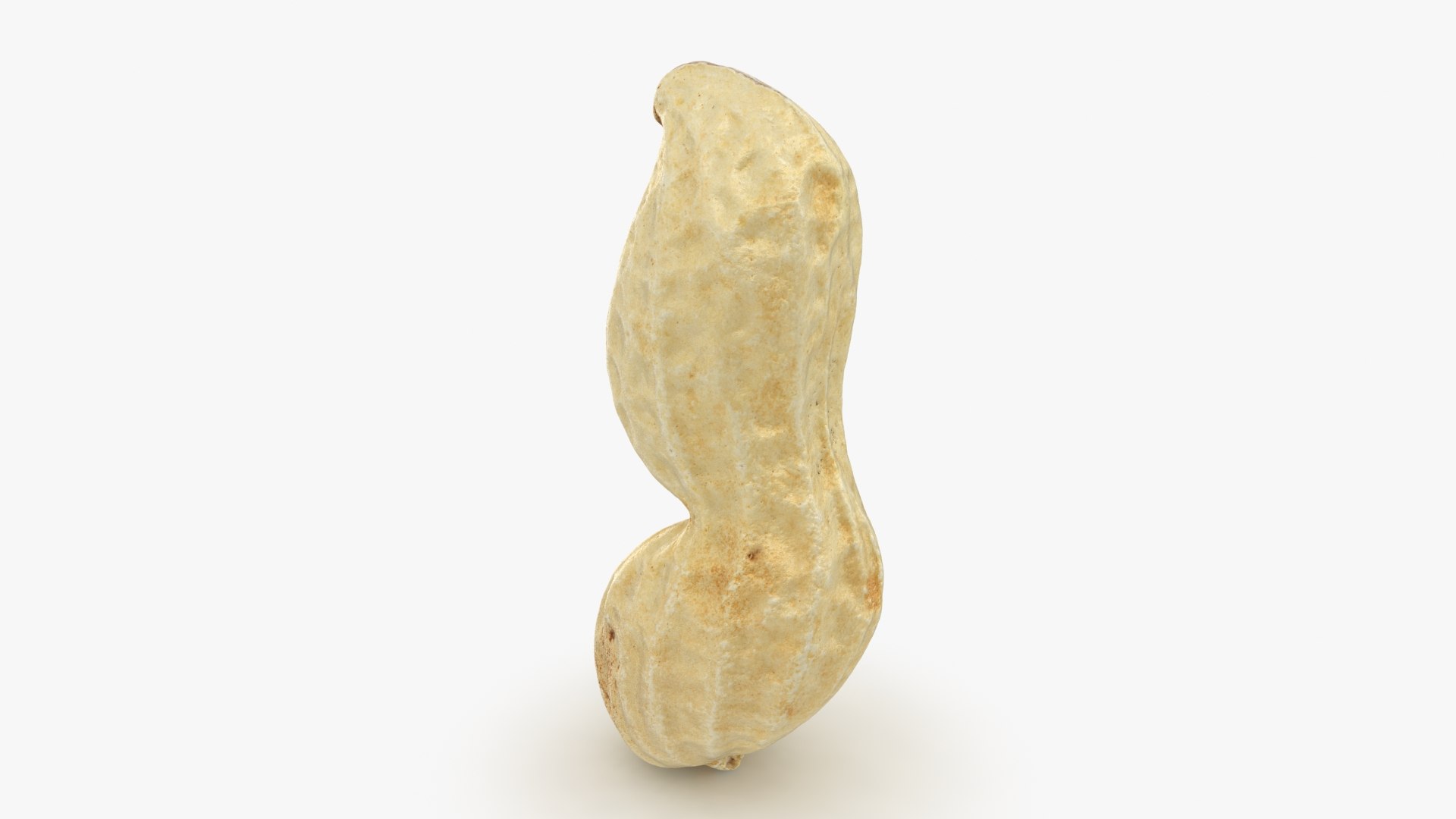 3D Peanut Shell 02 Model - TurboSquid 1957346