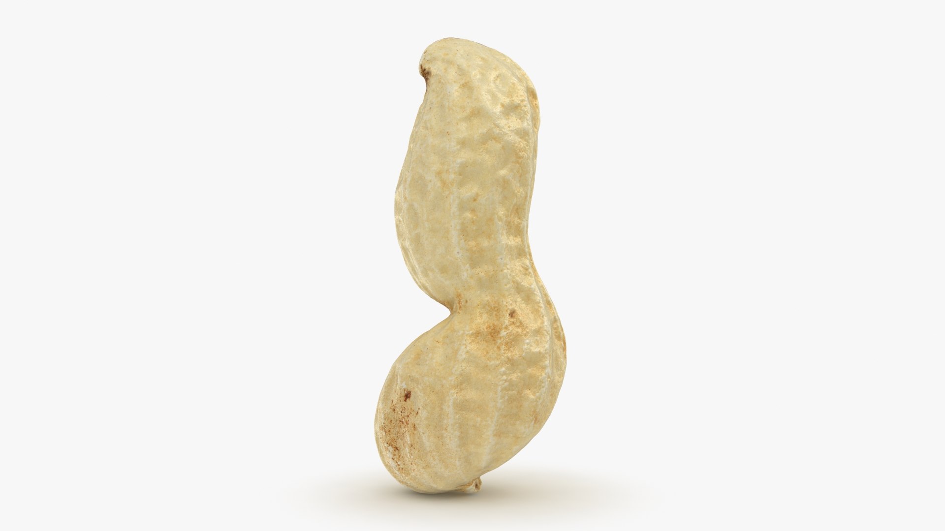 3D Peanut Shell 02 Model - TurboSquid 1957346