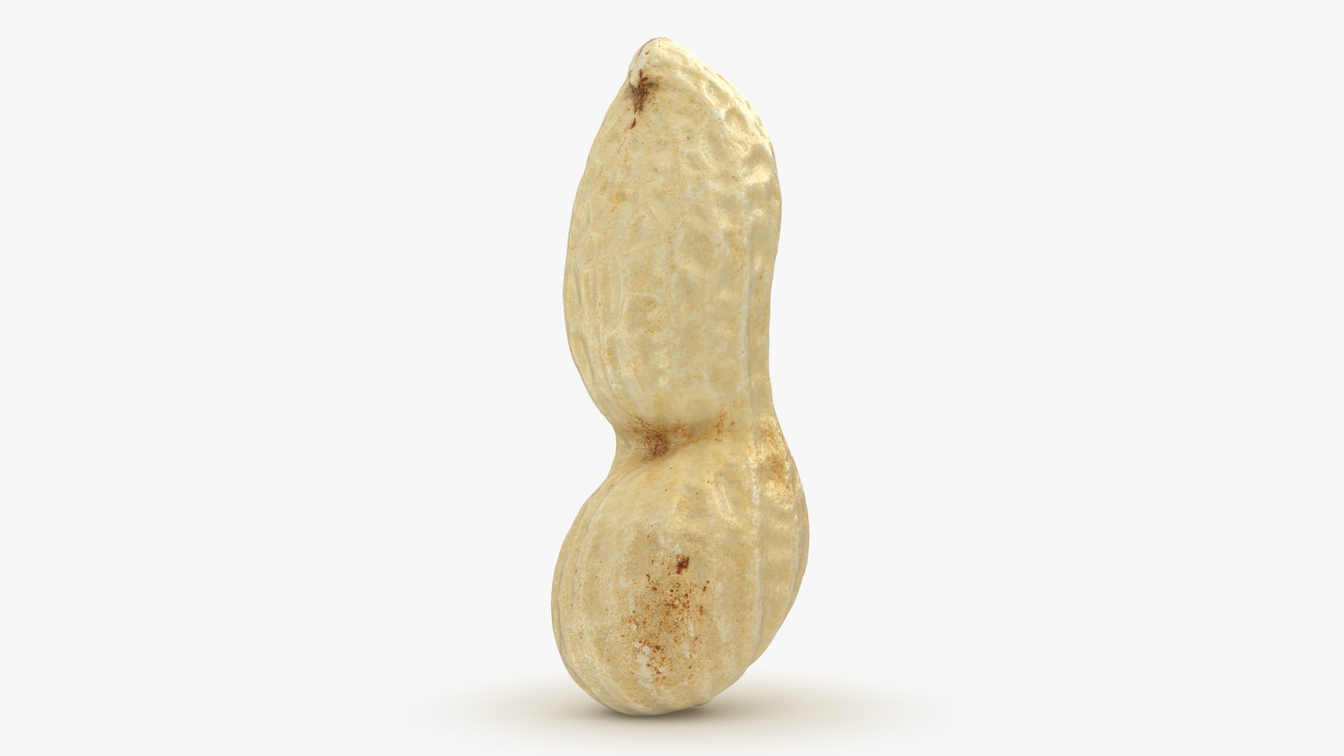 3D Peanut Shell 02 Model - TurboSquid 1957346