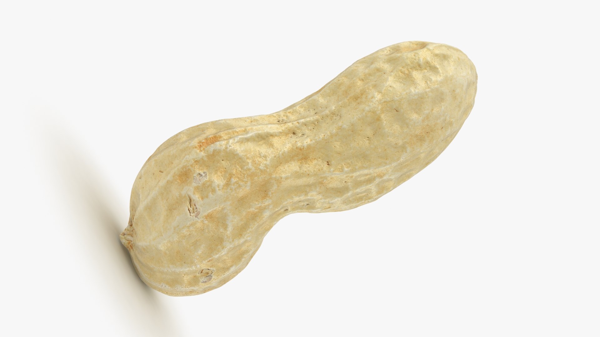 3D Peanut Shell 02 Model - TurboSquid 1957346
