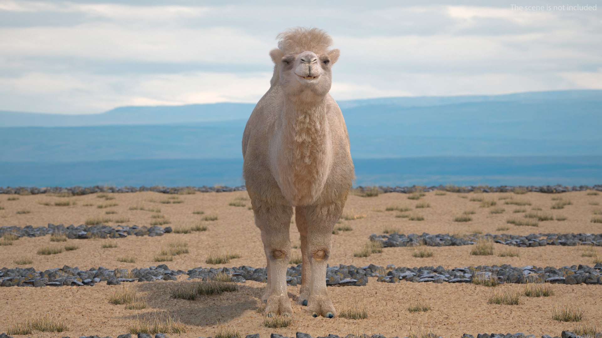 Bactrian Camel Light Colored Fur 3D model https://p.turbosquid.com/ts-thumb/VX/QFEBoq/FS/bactriancamellightcoloredfurmb3dmodel002/jpg/1724334501/1920x1080/fit_q87/d0ec7d745c851075ade0eb74a1899edd2cee7e83/bactriancamellightcoloredfurmb3dmodel002.jpg