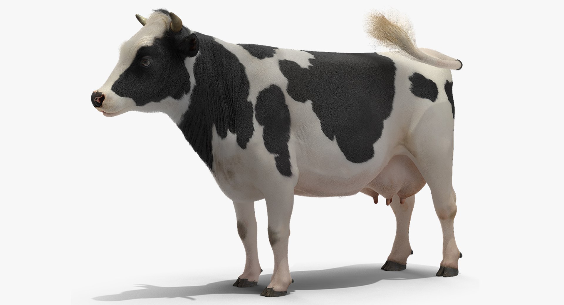 Animated Cow Eating Rigged 3D Model preview