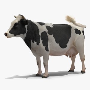 grass eating cow animal 3D model
