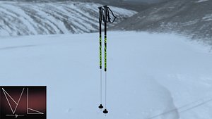 ski poles 3D