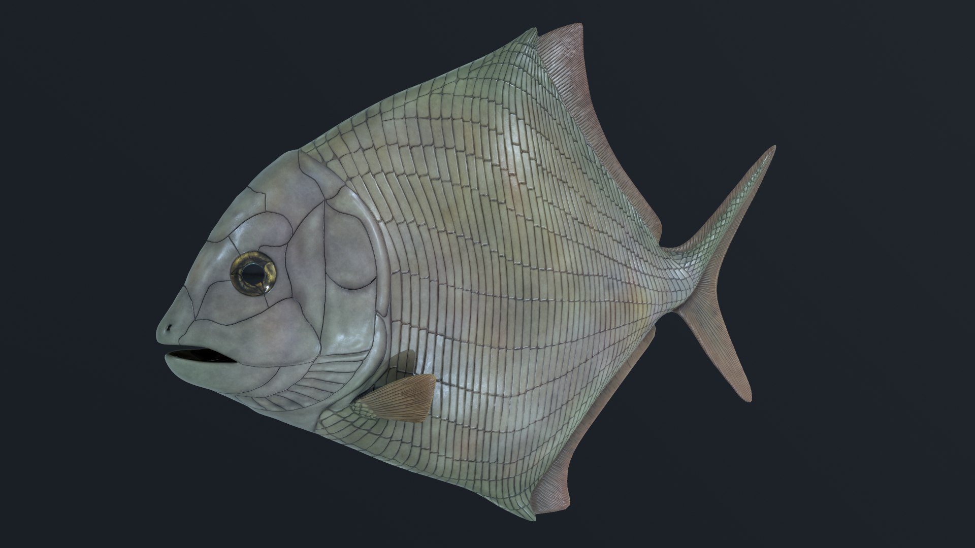 Extinct Fish 3D - TurboSquid 1458804