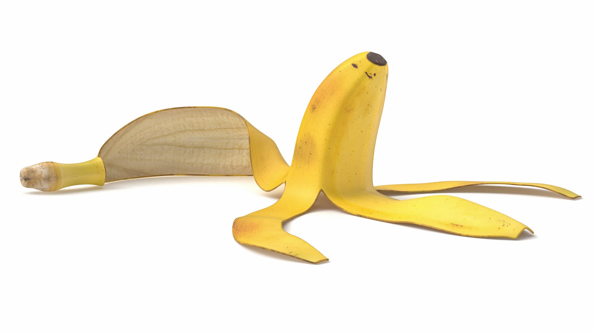 Banana Peel 02 3D https://p.turbosquid.com/ts-thumb/VX/dF7ZGg/0Q/banana045/jpg/1714650400/1920x1080/fit_q87/300fa02507e02d09c08bc2ea021efcb27e1c6e83/banana045.jpg
