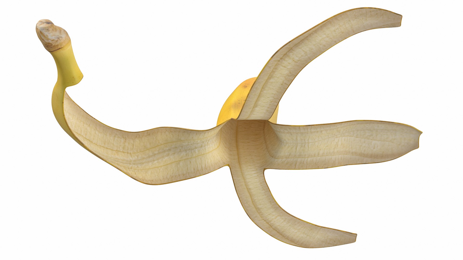 Banana Peel 02 3D https://p.turbosquid.com/ts-thumb/VX/dF7ZGg/fY/banana047/jpg/1714650422/1920x1080/fit_q87/d630bdd17cbb091710d8b141ec100664ef8b68d0/banana047.jpg