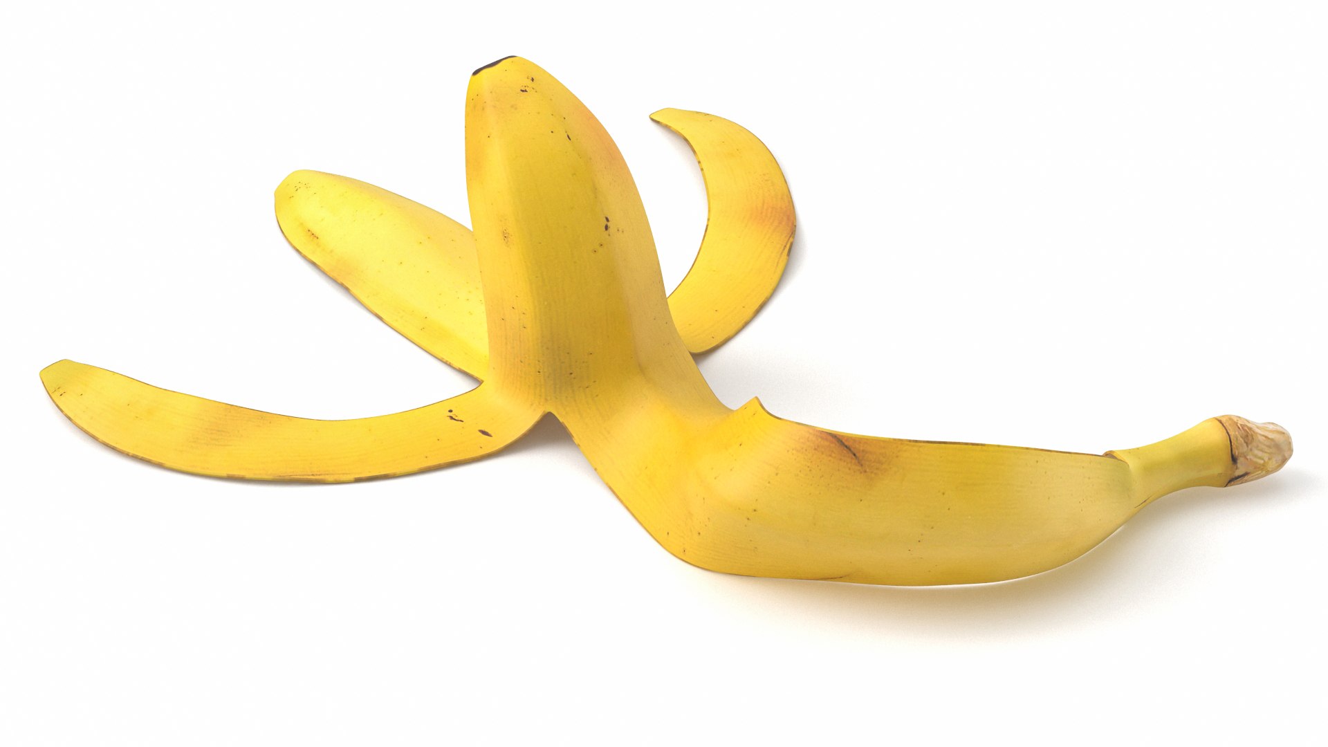 Banana Peel 02 3D https://p.turbosquid.com/ts-thumb/VX/dF7ZGg/s8/banana044/jpg/1714650382/1920x1080/fit_q87/e3d267b612224e82474e2615cd272841385b17f4/banana044.jpg