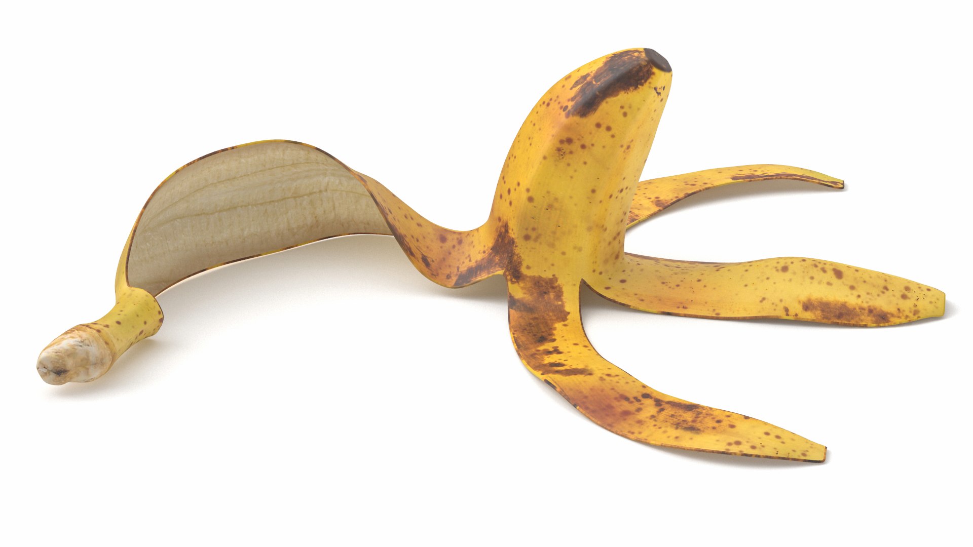 Banana Peel 02 3D https://p.turbosquid.com/ts-thumb/VX/dF7ZGg/sq/banana033/jpg/1714647840/1920x1080/fit_q87/4b0c8051e33da997f16826fc275662dad4ca85ef/banana033.jpg