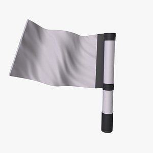 3D Flag Wave model