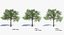 Ensemble d'arbres Low Poly