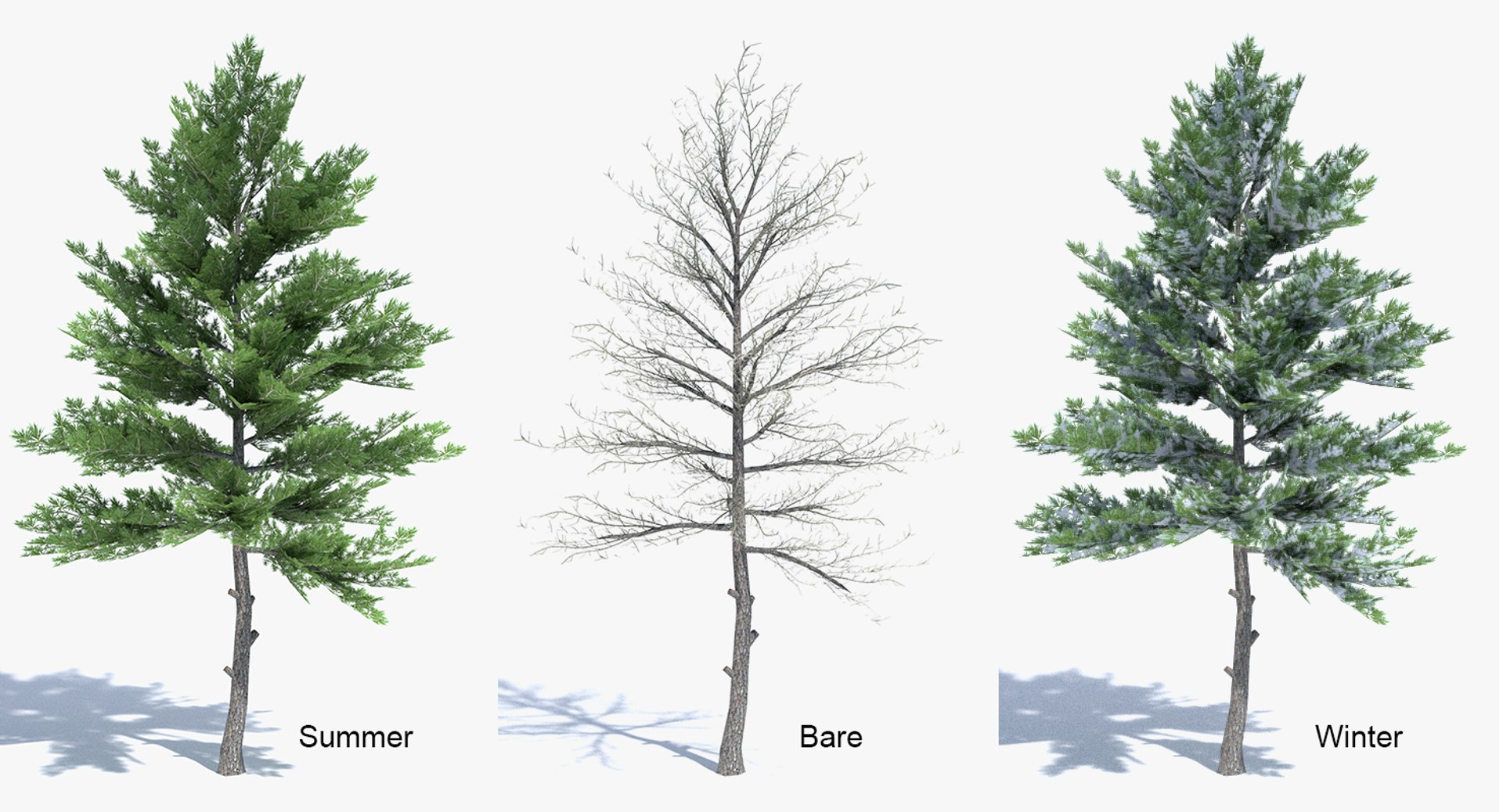 3ds max tree set polys https://p.turbosquid.com/ts-thumb/VX/vv410D/1L4dvv0V/winter_bare_thumb/png/1442264850/1920x1080/fit_q87/4c7edd3d05ecefdf23eb148939ca677fcf2c4270/winter_bare_thumb.jpg