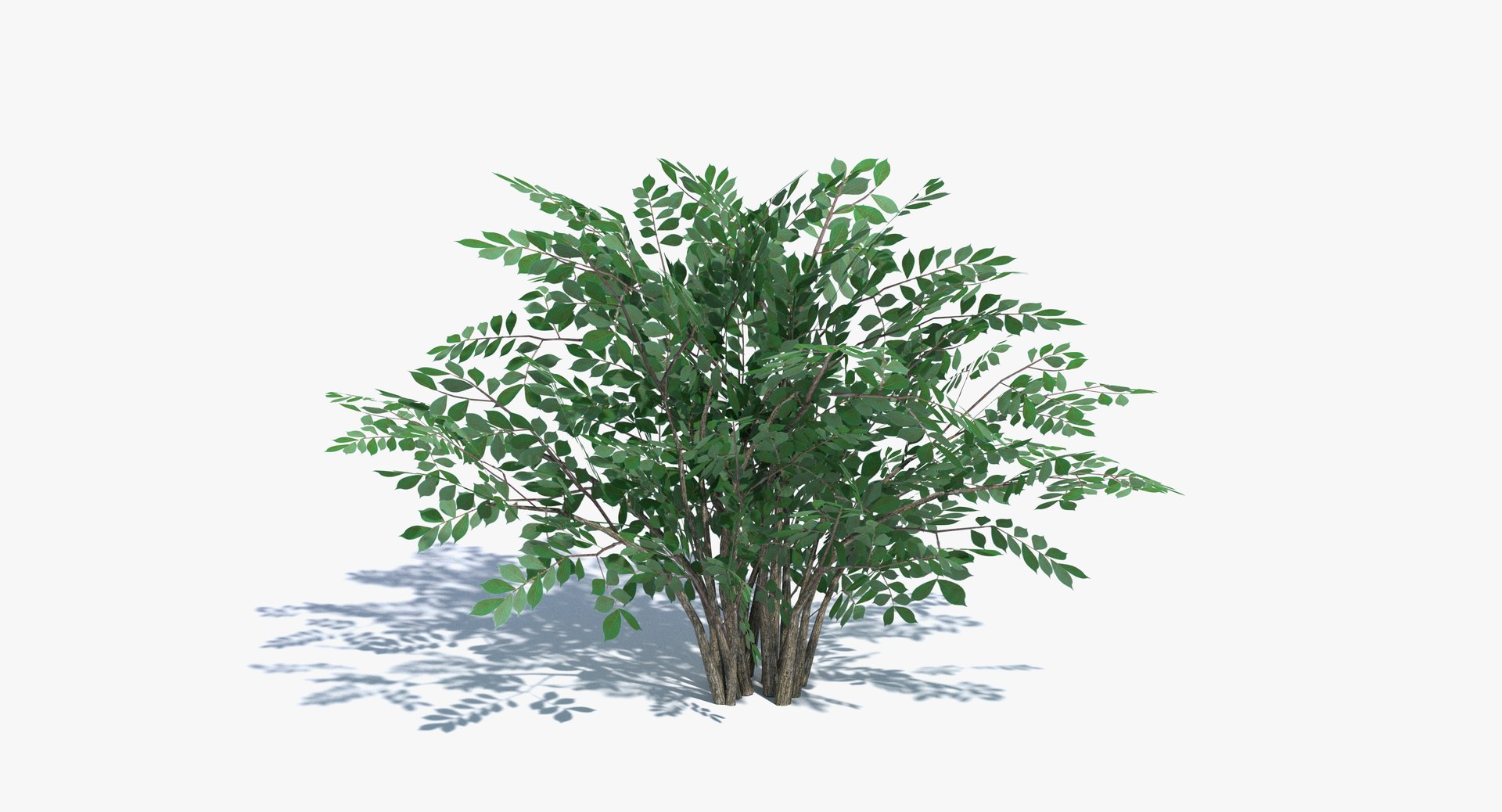 3ds max tree set polys https://p.turbosquid.com/ts-thumb/VX/vv410D/25LbBv92/thumbnail_1/png/1442264911/1920x1080/fit_q87/db7342cb138d20403ab6ee73804004e714564412/thumbnail_1.jpg