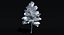 Ensemble d'arbres Low Poly