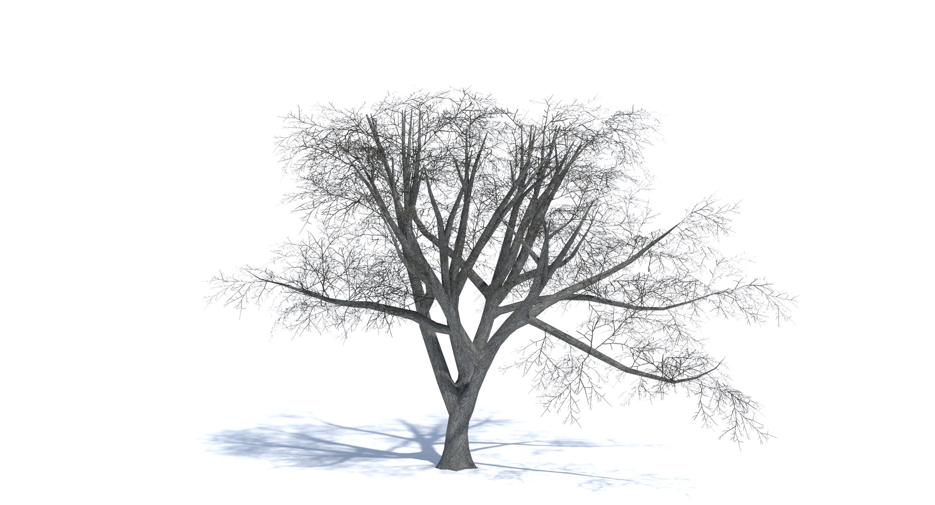 3ds max tree set polys https://p.turbosquid.com/ts-thumb/VX/vv410D/5f8AzTNb/thumbnail_winter/png/1442264747/1920x1080/fit_q87/10a544672a4031dd1358c2520bf74a0bab736f0c/thumbnail_winter.jpg