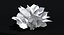 Ensemble d'arbres Low Poly