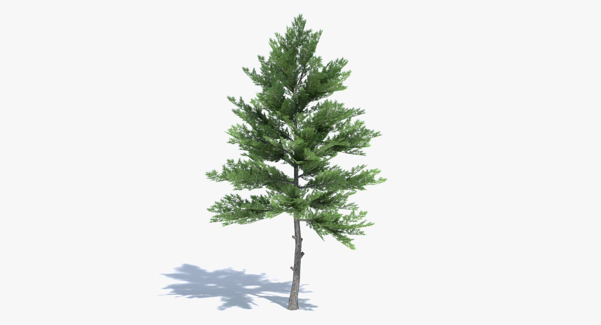 3ds max tree set polys https://p.turbosquid.com/ts-thumb/VX/vv410D/6wgi8fY0/thumbnail_1/png/1442264850/1920x1080/fit_q87/df08849fabe14a32abb599fc2131c9202777de7f/thumbnail_1.jpg