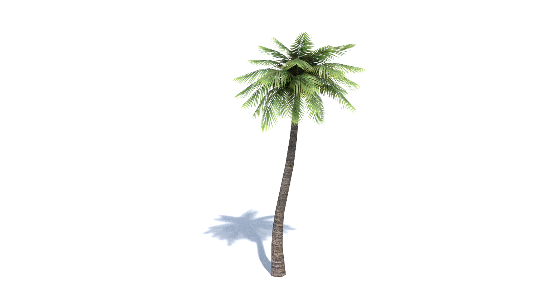 3ds max tree set polys https://p.turbosquid.com/ts-thumb/VX/vv410D/AEWhy6Ty/images/png/1442265113/1920x1080/turn_fit_q99/96bf8d70d38cc5ae22c20470303d135c7ccdb0b0/images-1.jpg