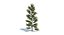 Ensemble d'arbres Low Poly