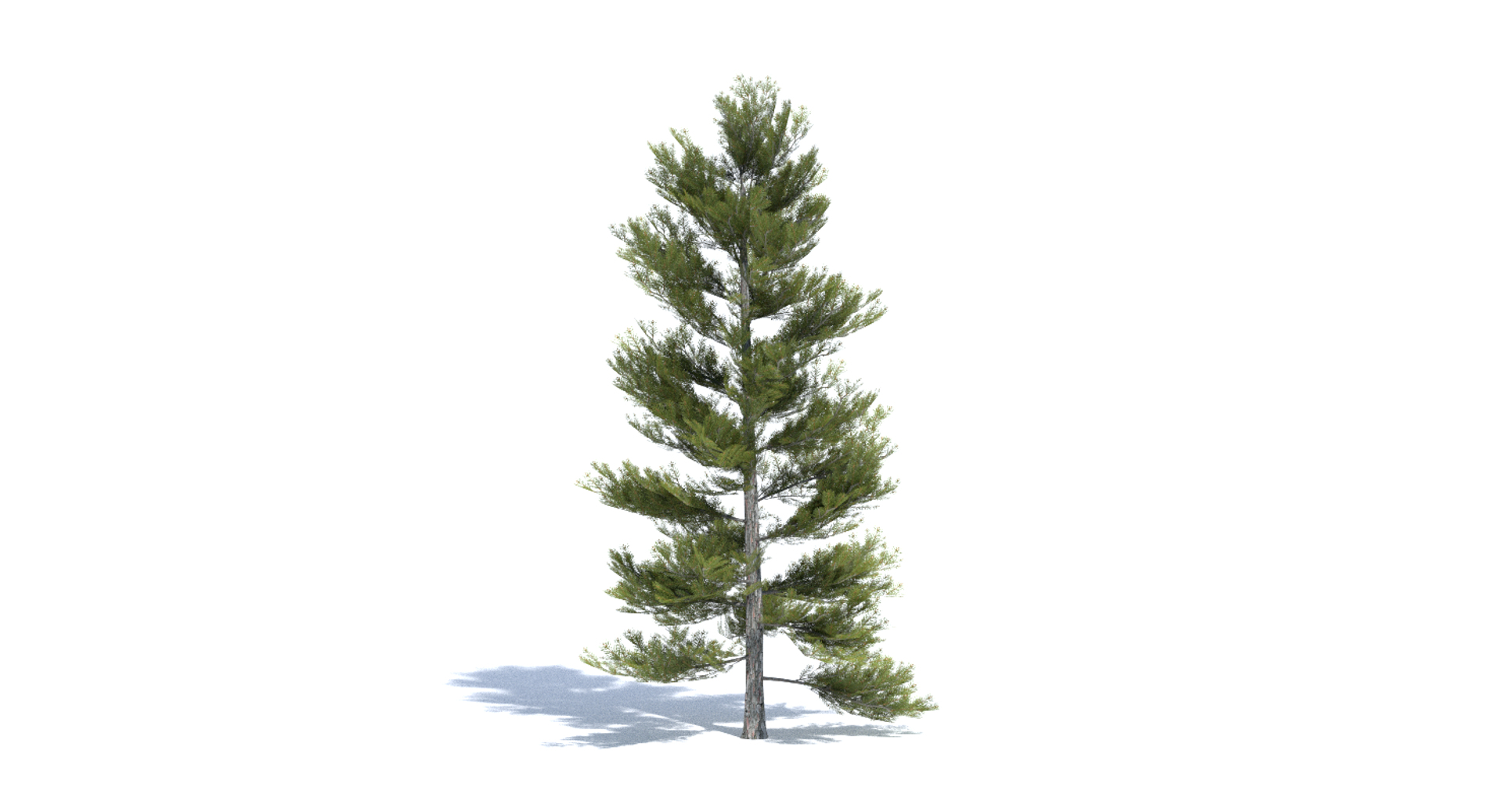 3ds max tree set polys https://p.turbosquid.com/ts-thumb/VX/vv410D/CSyJ7syW/images/png/1442265323/1920x1080/turn_fit_q99/7c0ee9c7a0cf73413dc4f19e7b3f882fe8e0483f/images-1.jpg