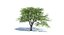 Ensemble d'arbres Low Poly