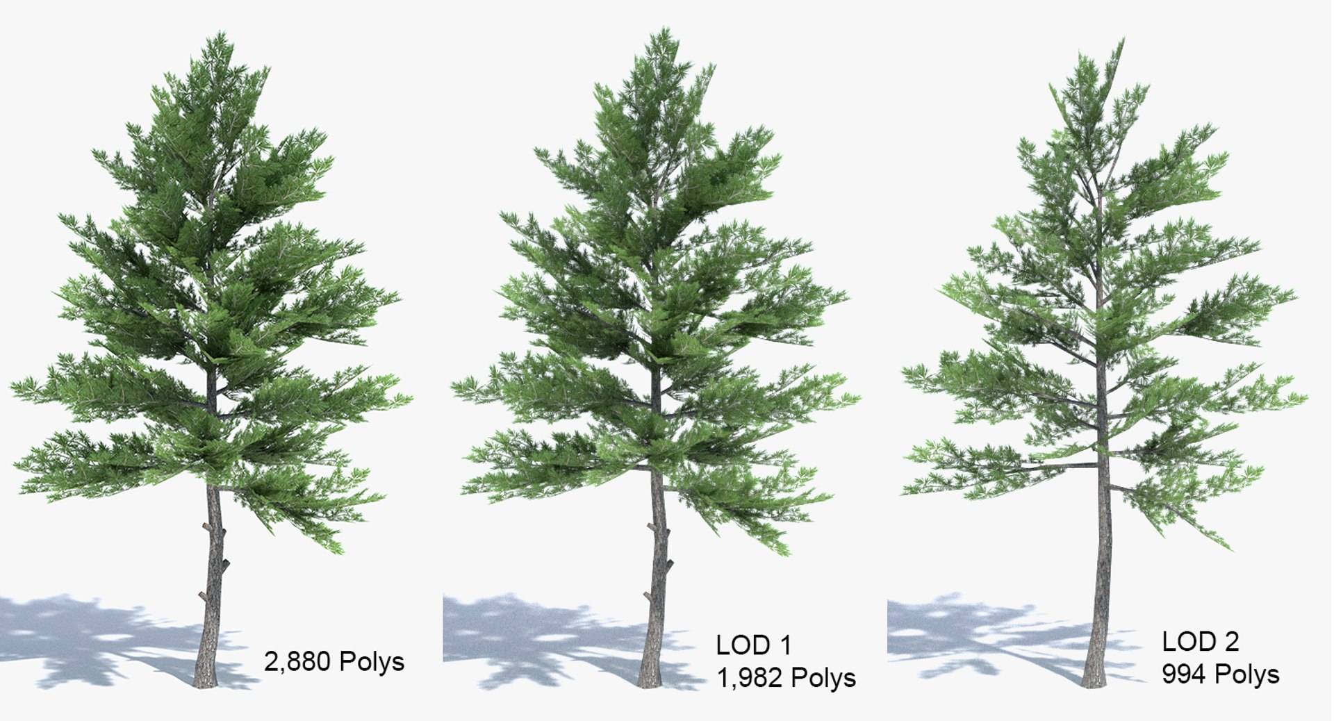3ds max tree set polys https://p.turbosquid.com/ts-thumb/VX/vv410D/MyutNvMo/polys/png/1442264850/1920x1080/fit_q87/6d6c54f49679f48275ae0f46c6e37496dbcde892/polys.jpg